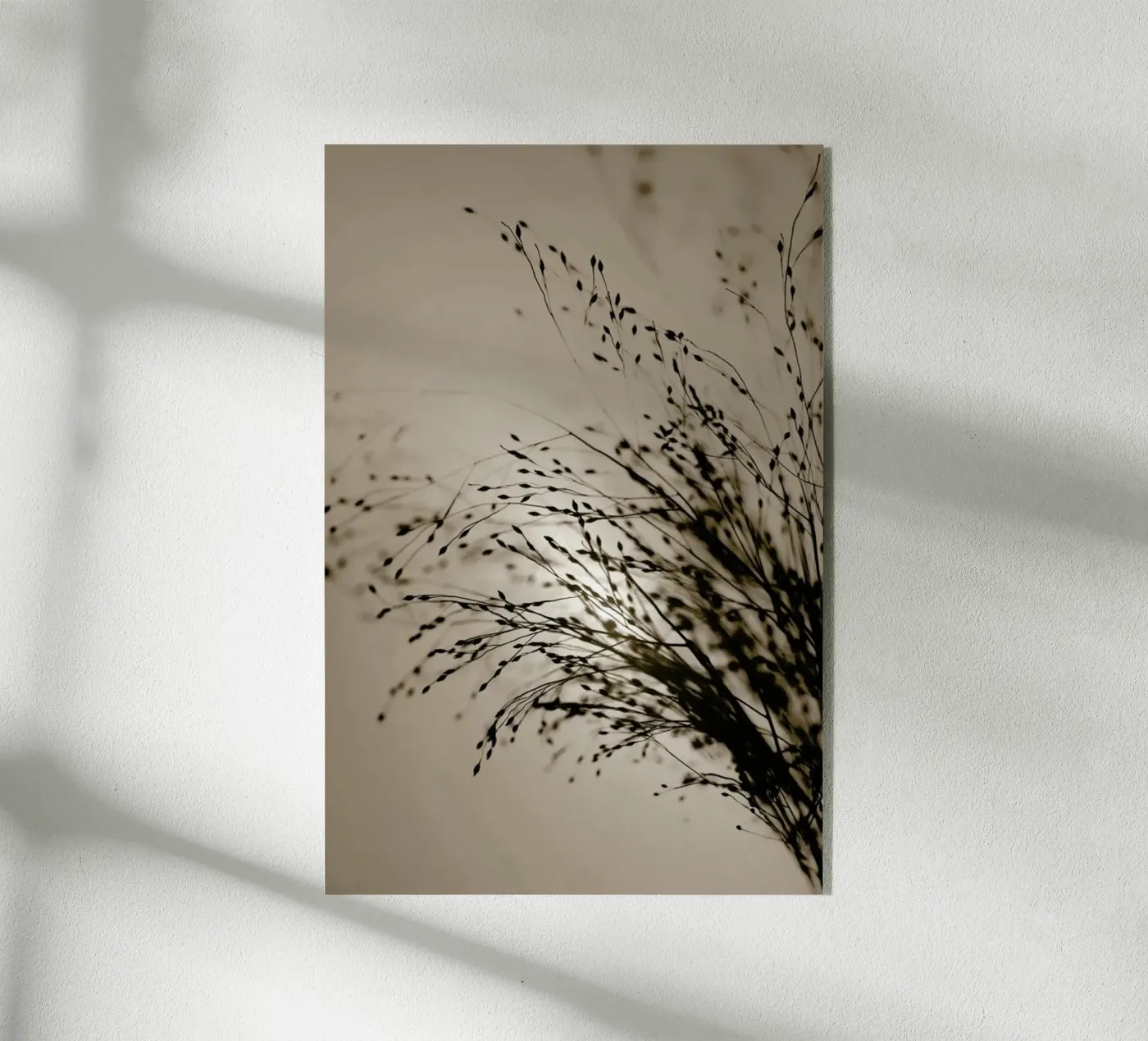 Brown Grass 2 Acryl-Glas von Monika Strigel