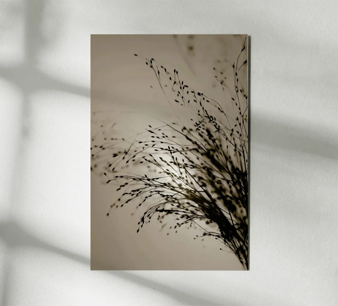 Brown Grass 2 alluminio dibond da Monika Strigel