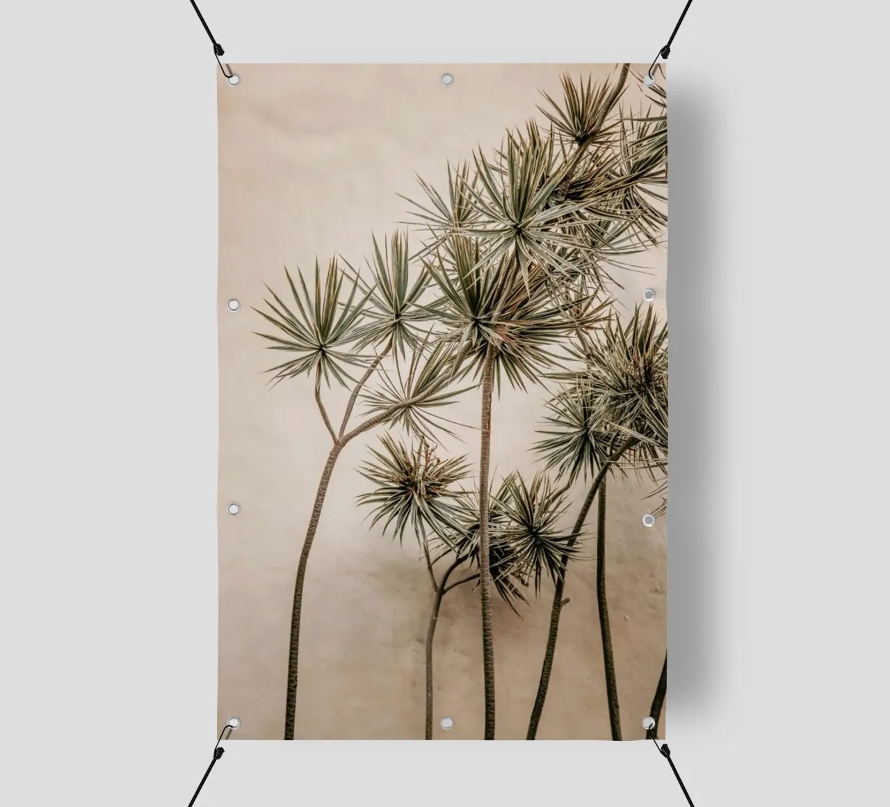 Sunkissed Palms Madeira telo in pvc da Monika Strigel