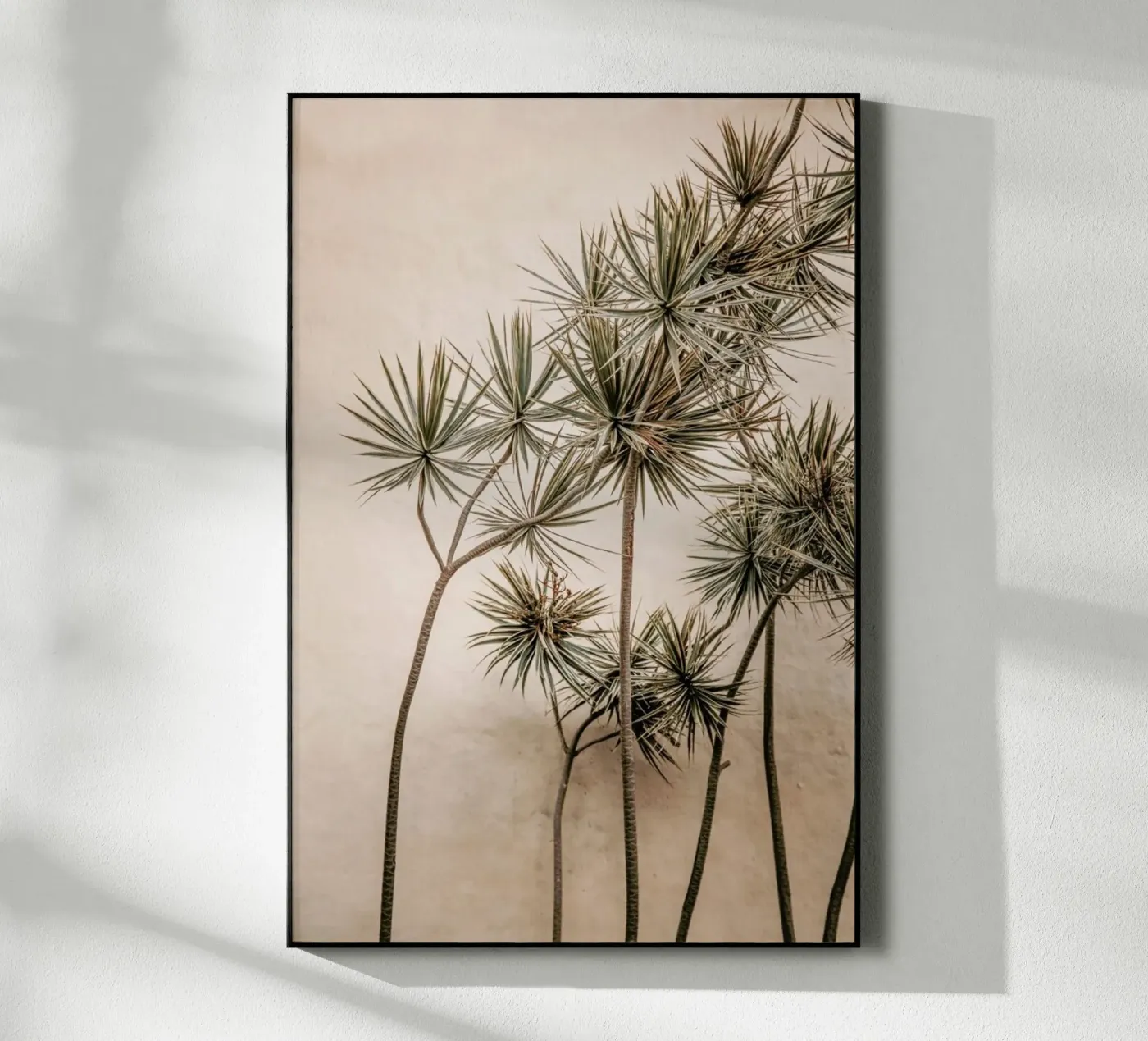 Sunkissed Palms Madeira plexiglass da Monika Strigel