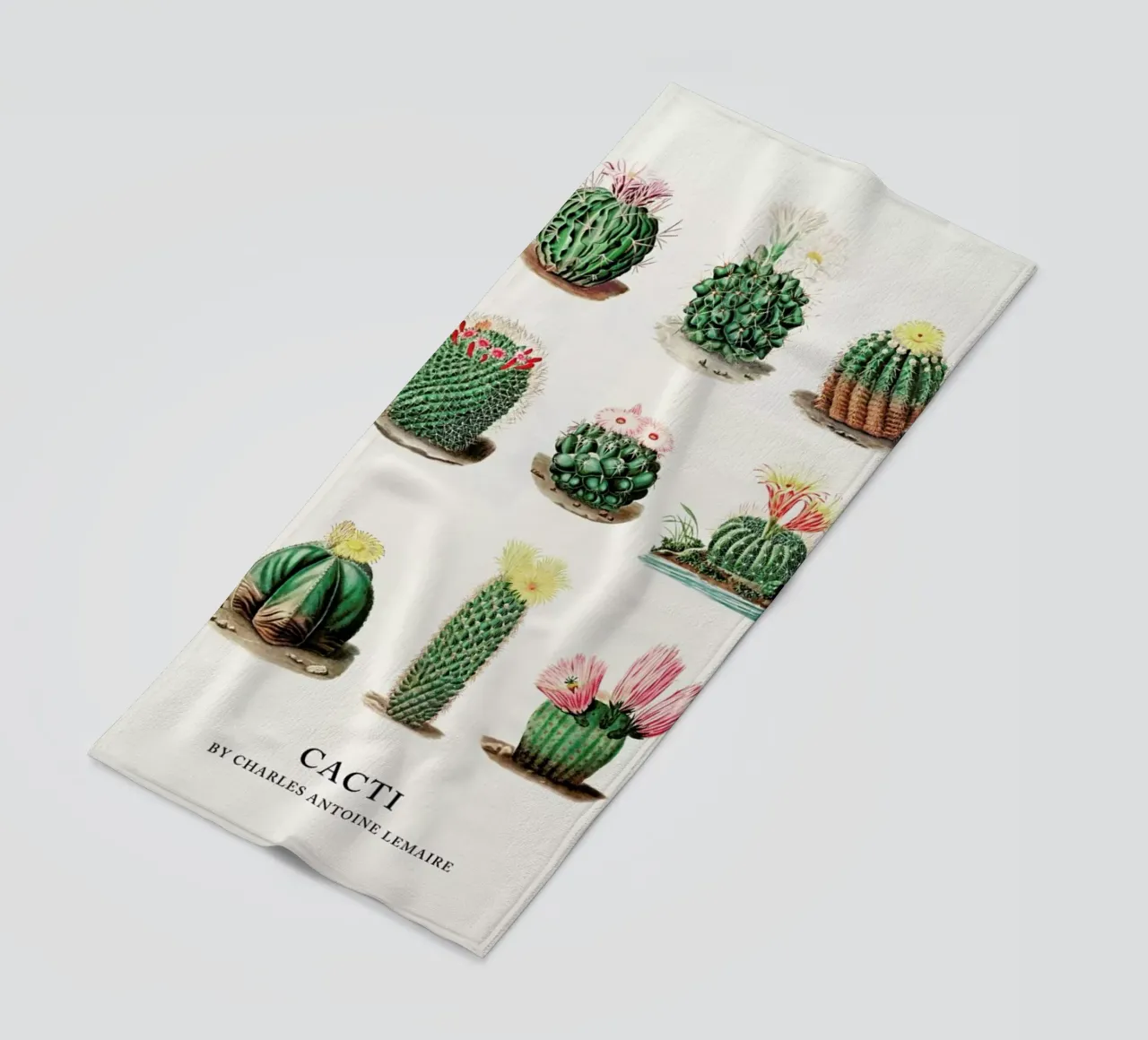 Cacti by Charles Antoine Lemaire telo mare da Flora & Fauna