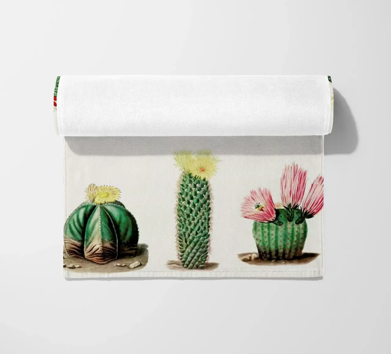 Cacti by Charles Antoine Lemaire telo mare da Flora & Fauna