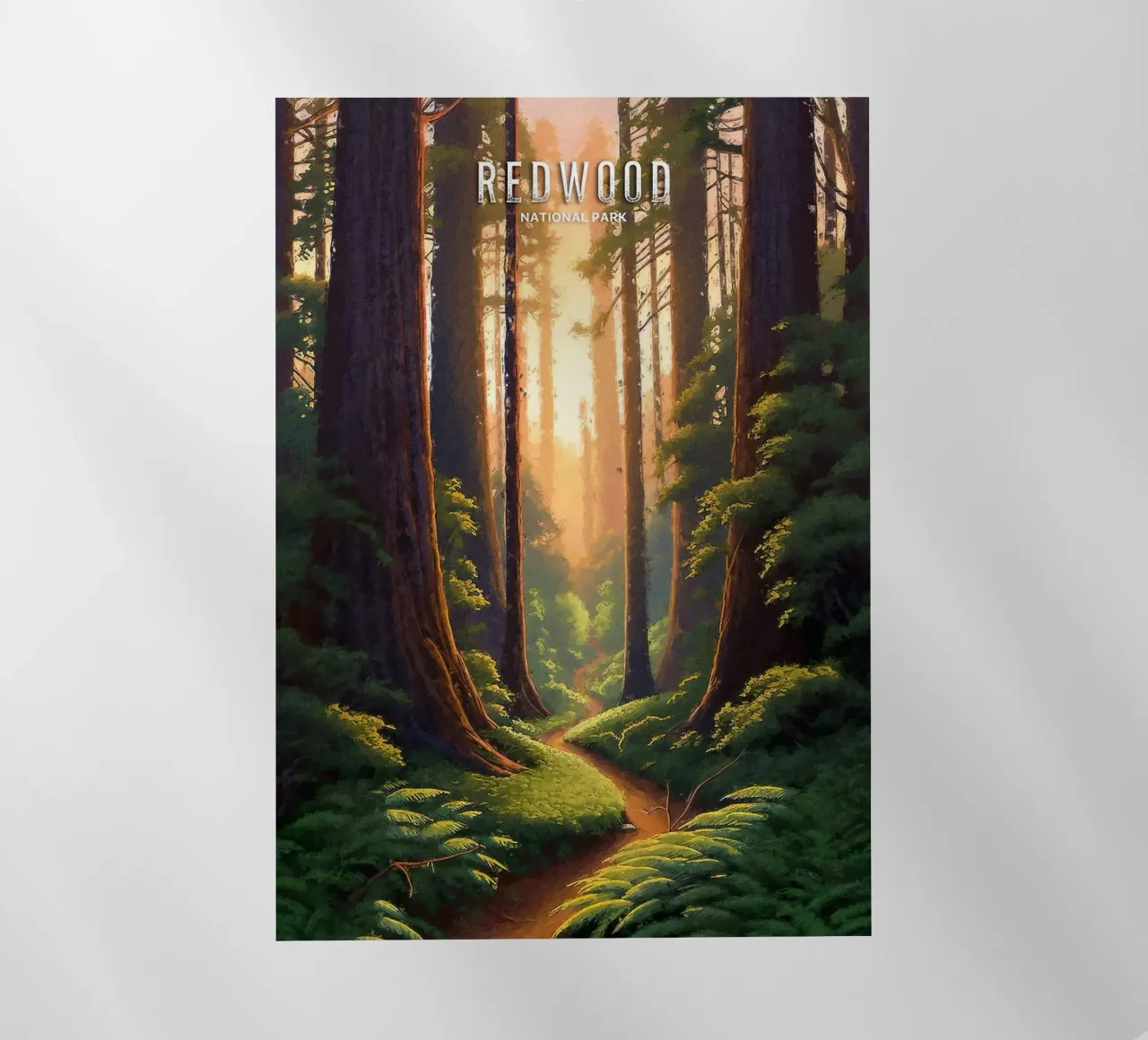 alberi di sequoia foresta sentiero luce solare verde pellicola backlit da James Isaac Jackson
