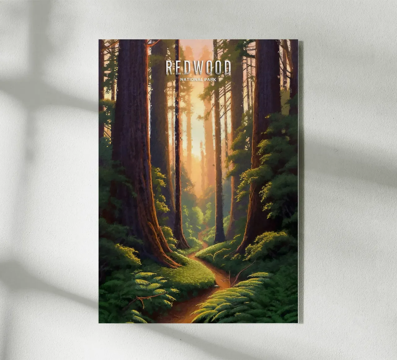 alberi di sequoia foresta sentiero luce solare verde plexiglass da James Isaac Jackson