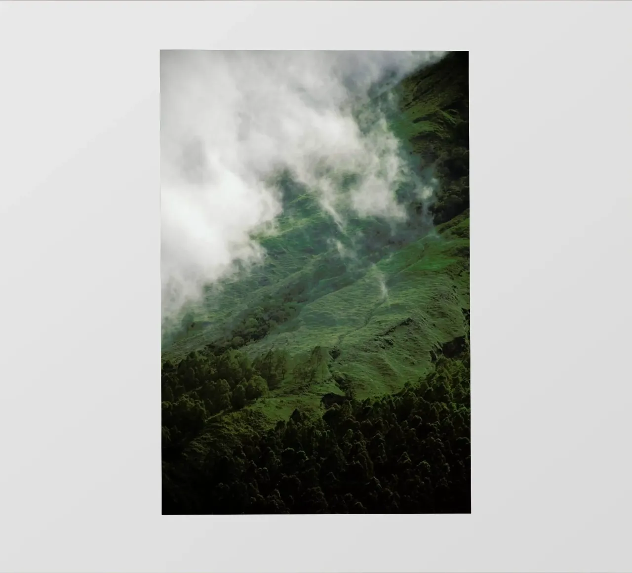 Hiking through Greens & Clouds pellicola backlit da Studio Nahili