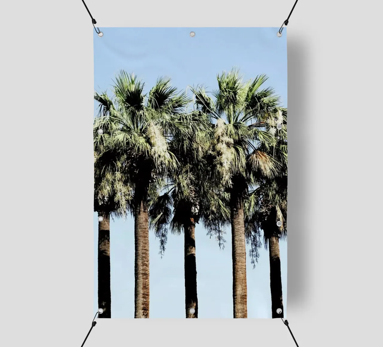Geoffs Palm Trees telo in pvc da Babett Schultze