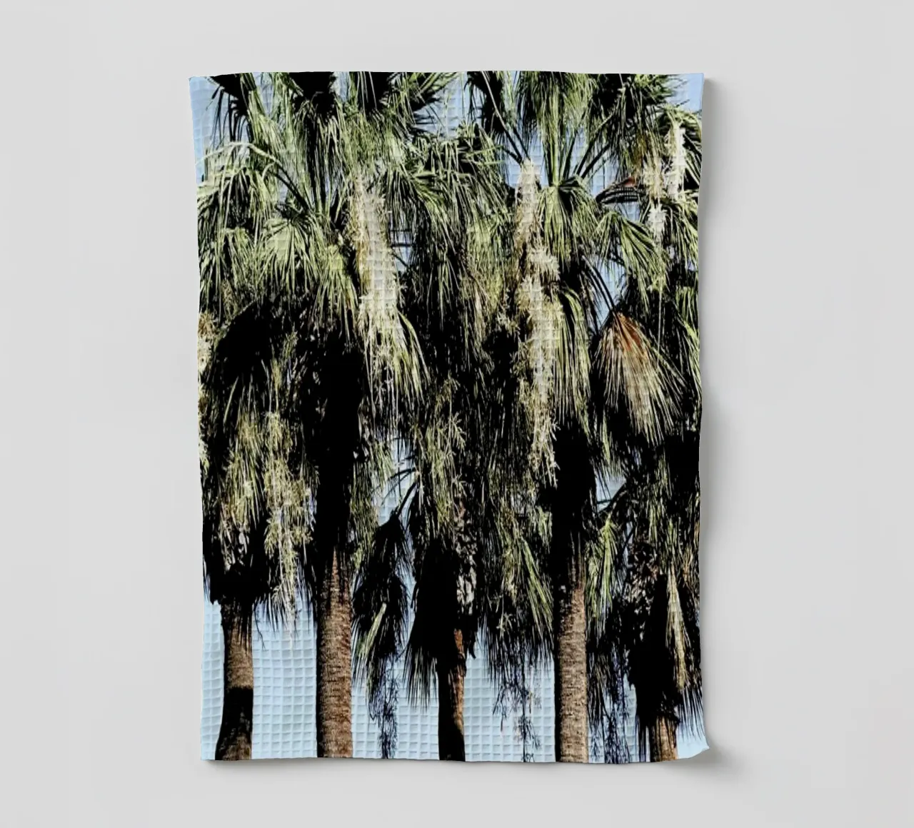 Geoffs Palm Trees canovaccio da cucina da Babett Schultze