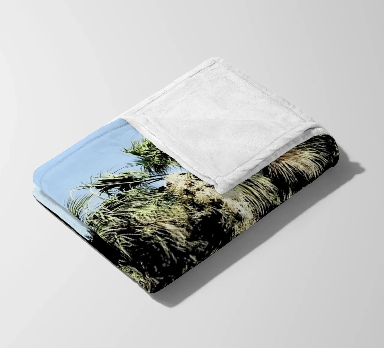 Geoffs Palm Trees coperta in pile da Babett Schultze