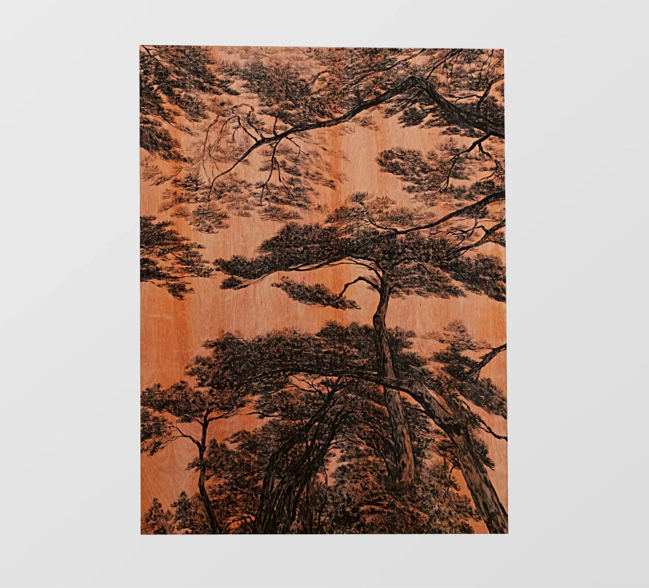 pine forest fotobehang van Soyoung Kwon