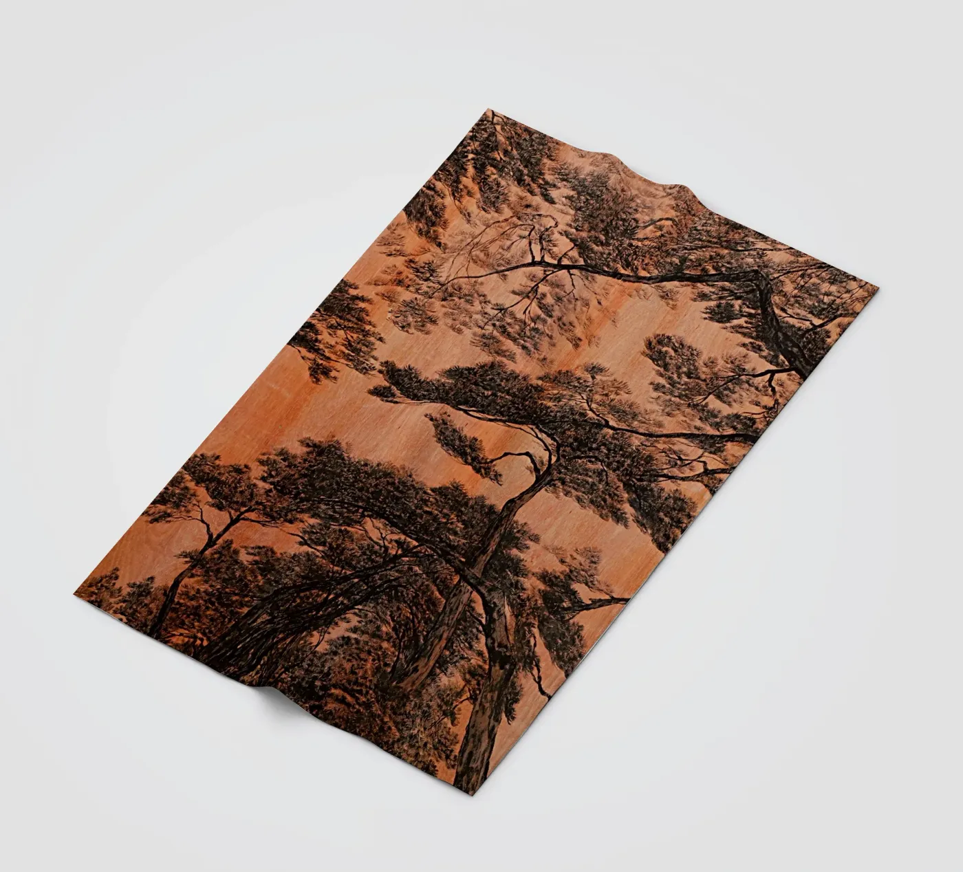 pine forest fleece blanket by Soyoung Kwon