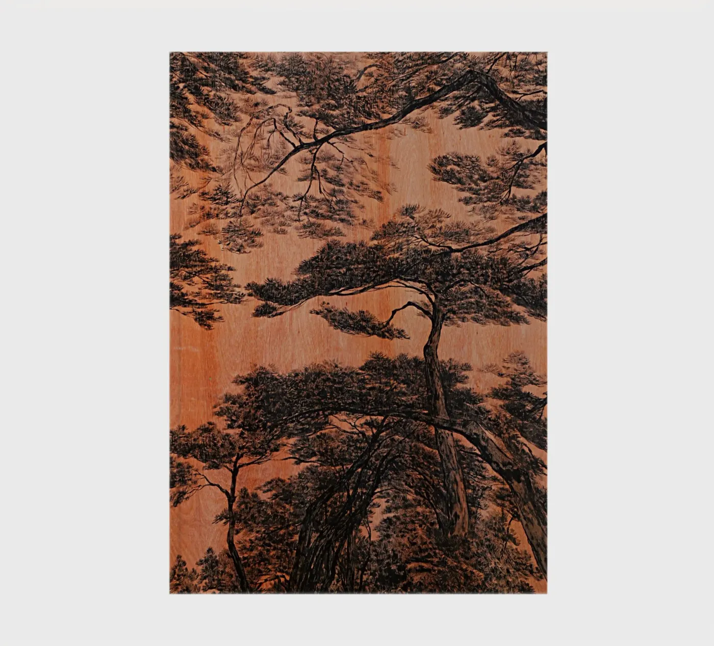 pine forest notebook by Soyoung Kwon