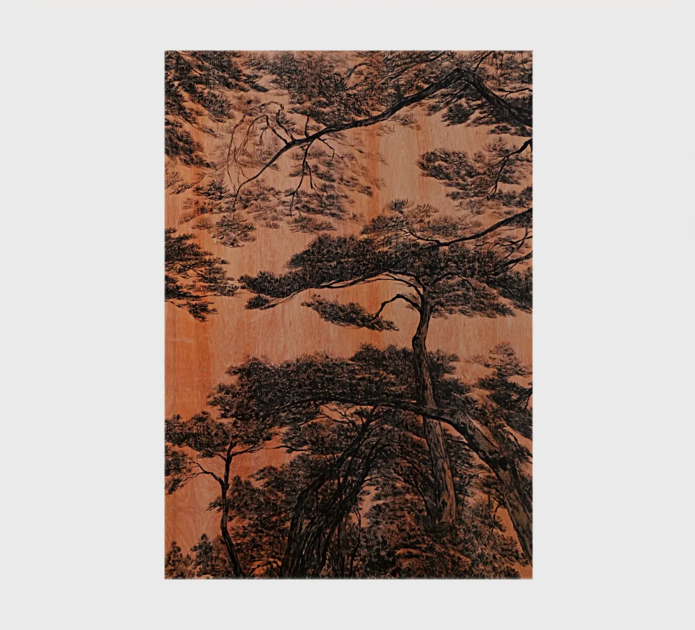 pine forest notebook by Soyoung Kwon