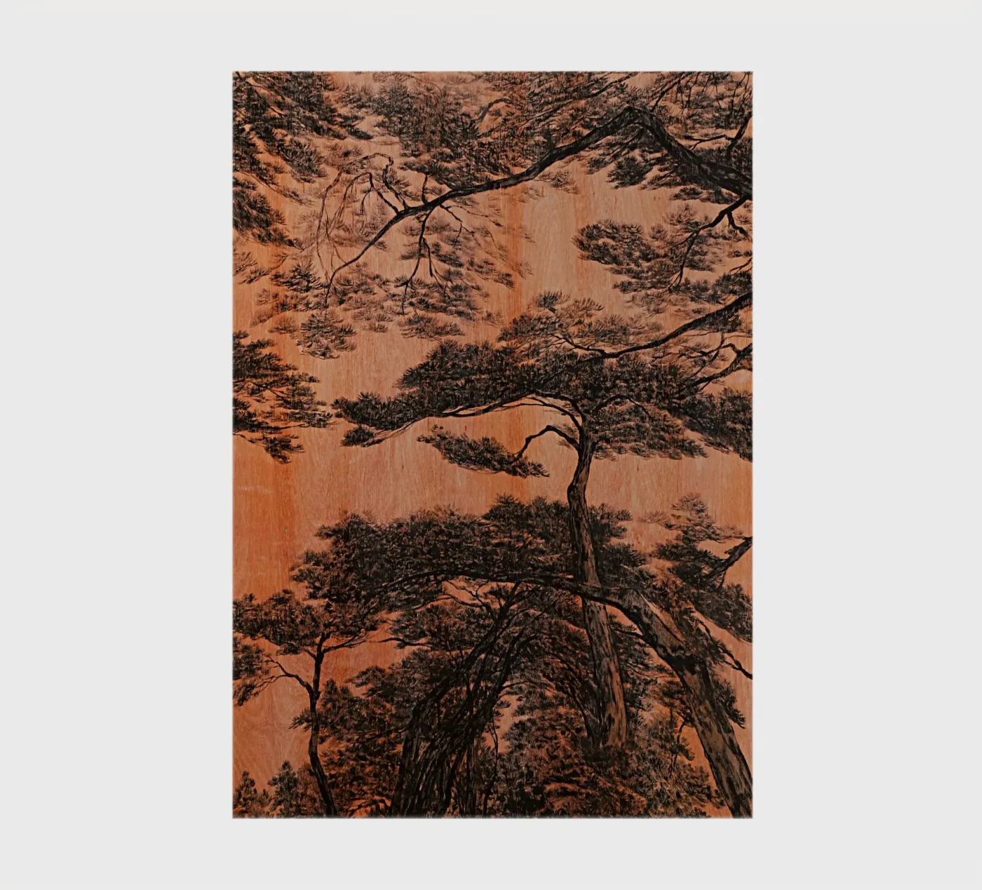 pine forest notebook by Soyoung Kwon