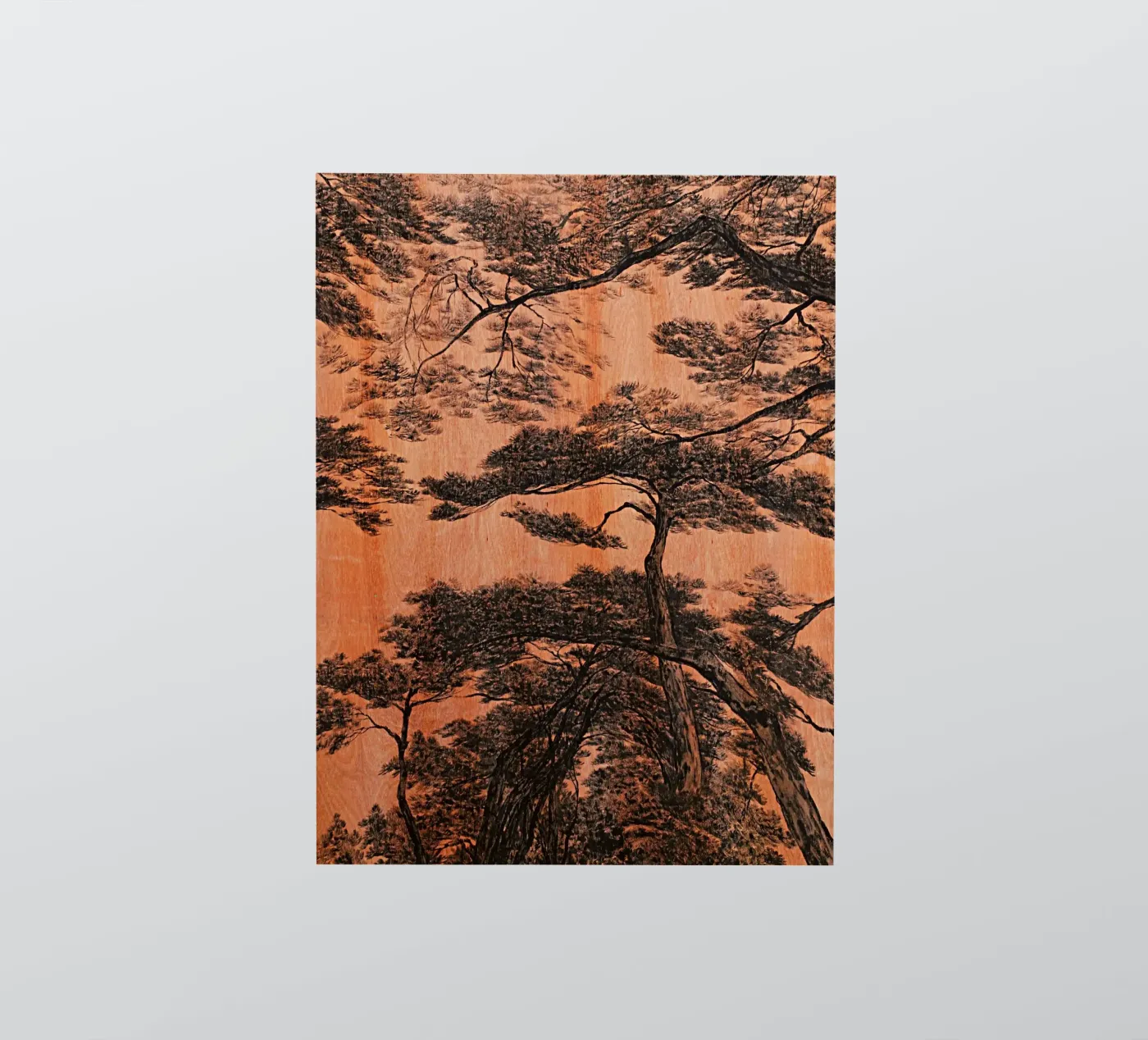pine forest sticker by Soyoung Kwon