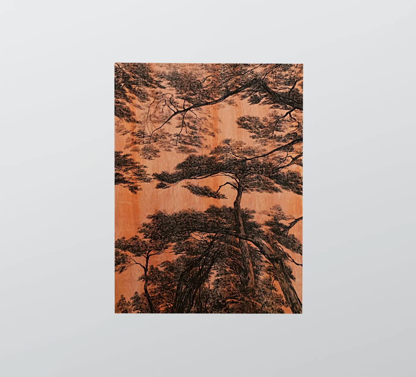 pine forest adesivo da Soyoung Kwon