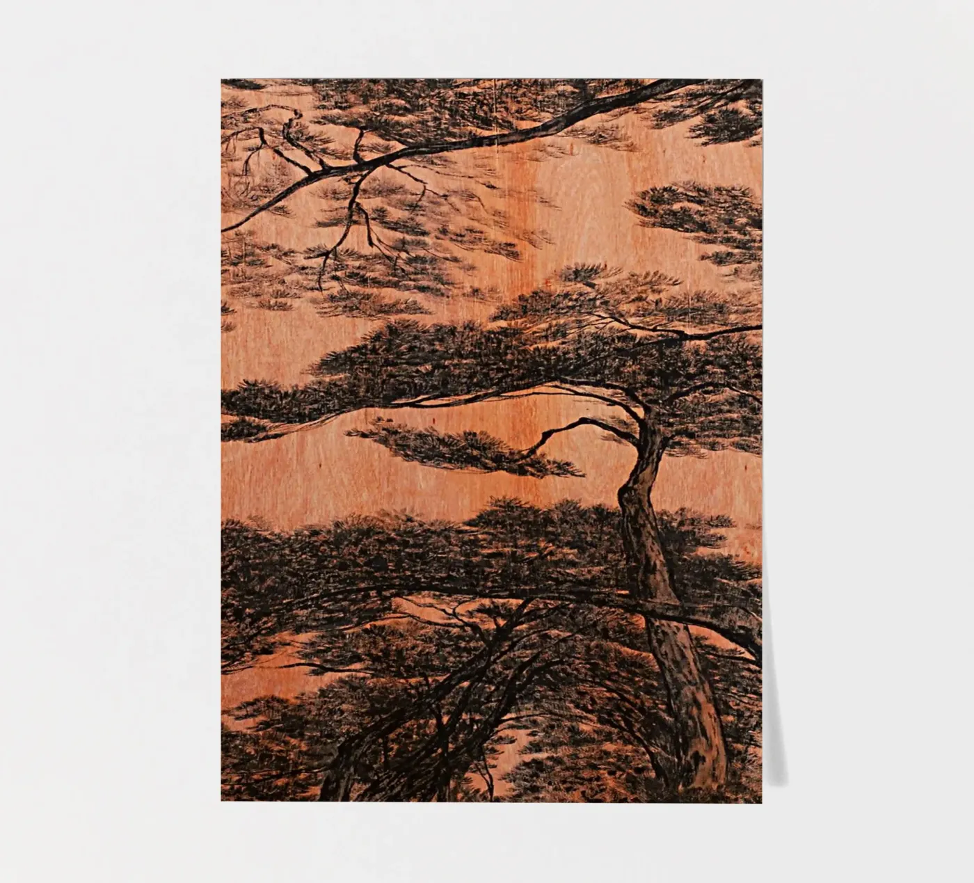 pine forest foglio adesivo da Soyoung Kwon