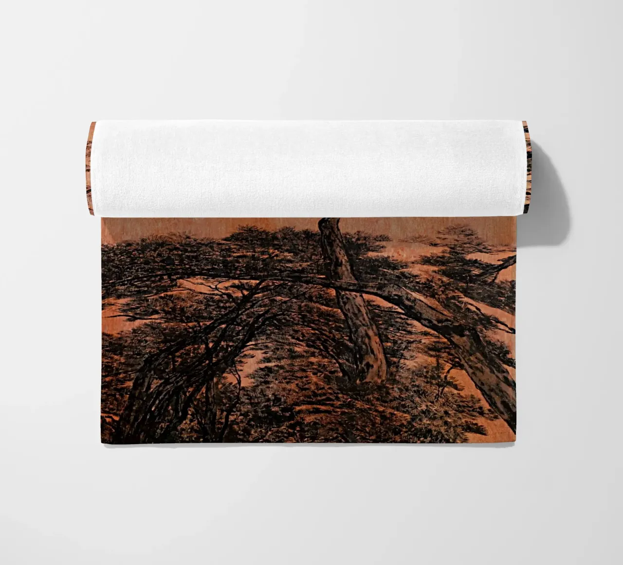 pine forest telo mare da Soyoung Kwon