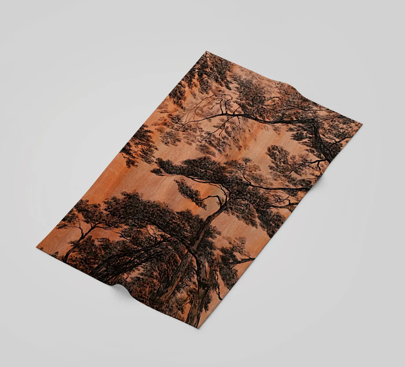 pineta telo mare da Soyoung Kwon