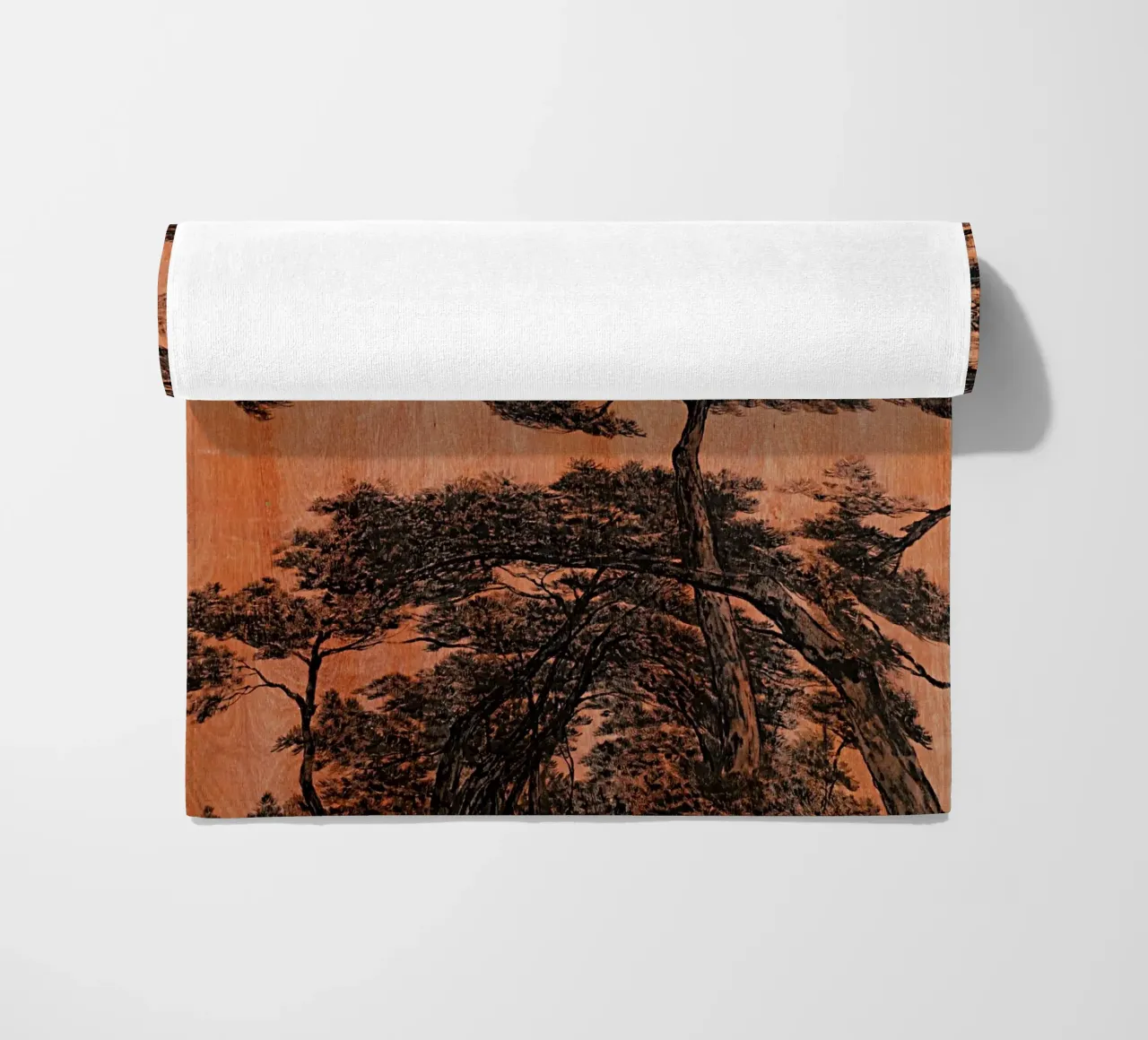 pine forest telo mare da Soyoung Kwon