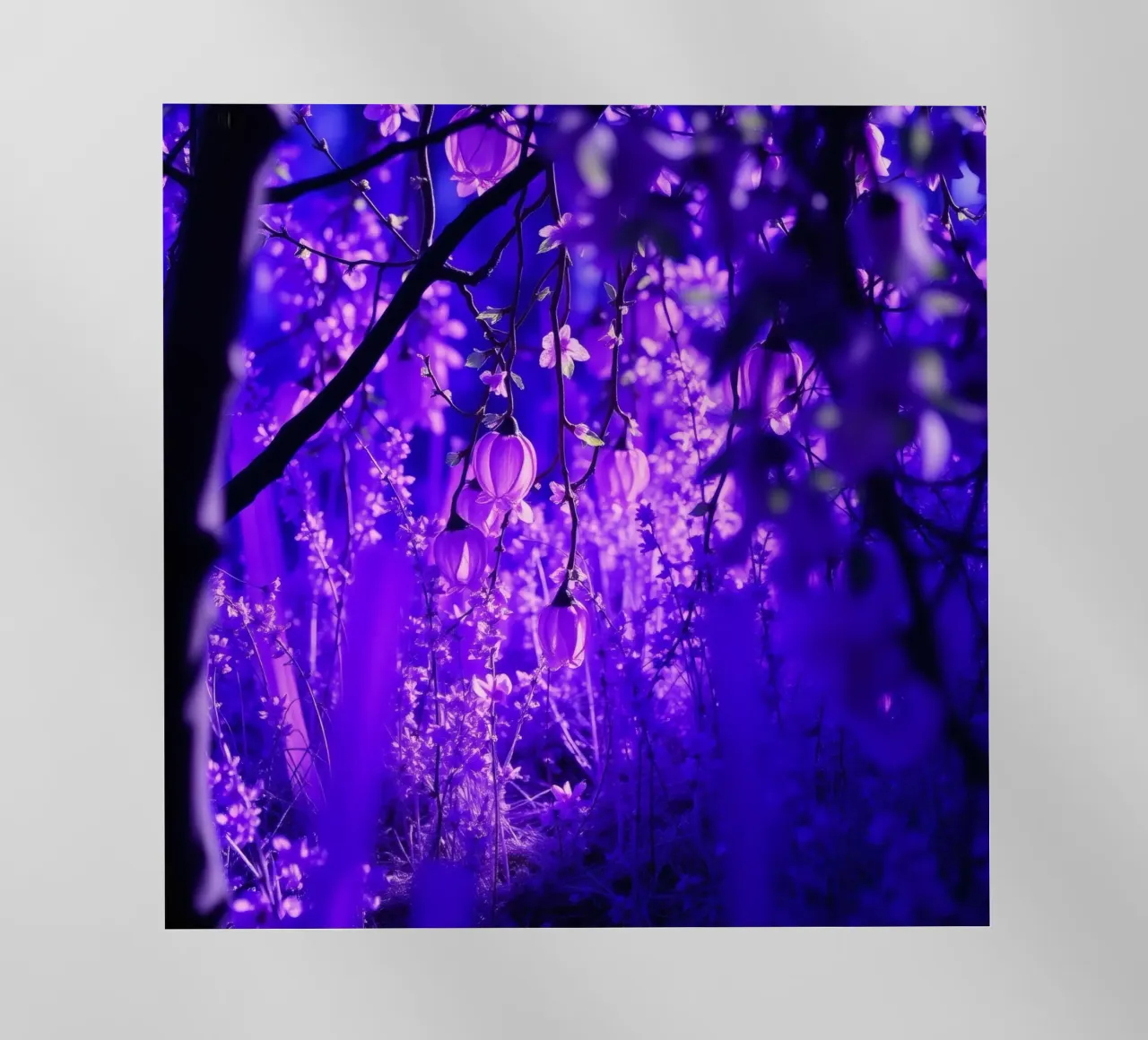 fiori viola e piante luminose in una foresta pellicola backlit da DesignDoodle