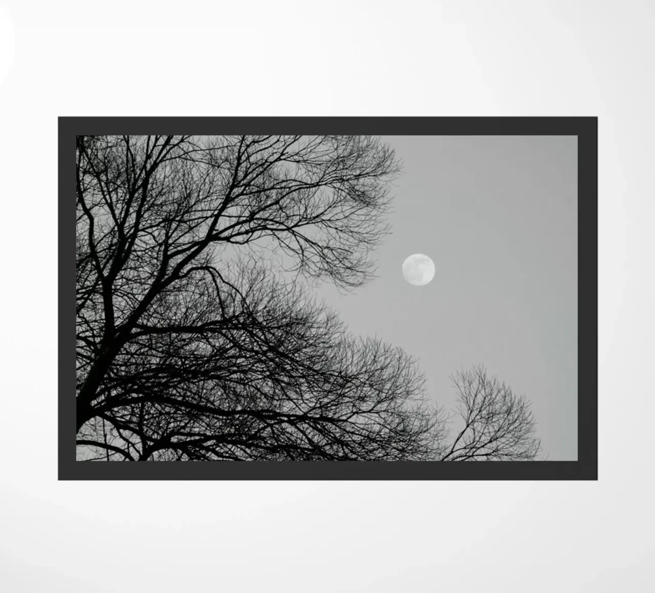 Full Moon Loves Winter Tree - Black & White Edition zerbino da Studio Nahili
