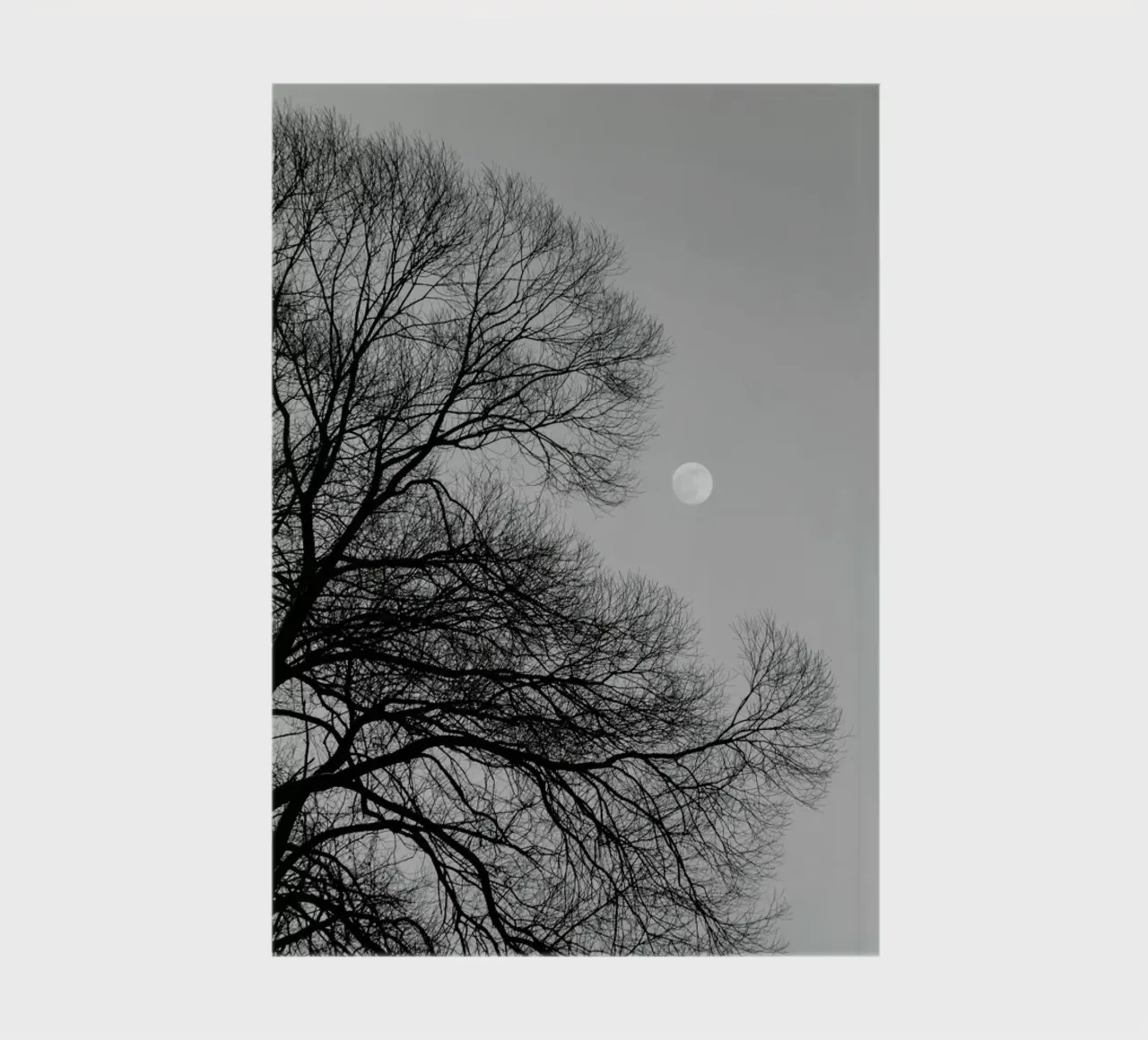 Full Moon Loves Winter Tree - Black & White Edition carnet de notes de Studio Nahili