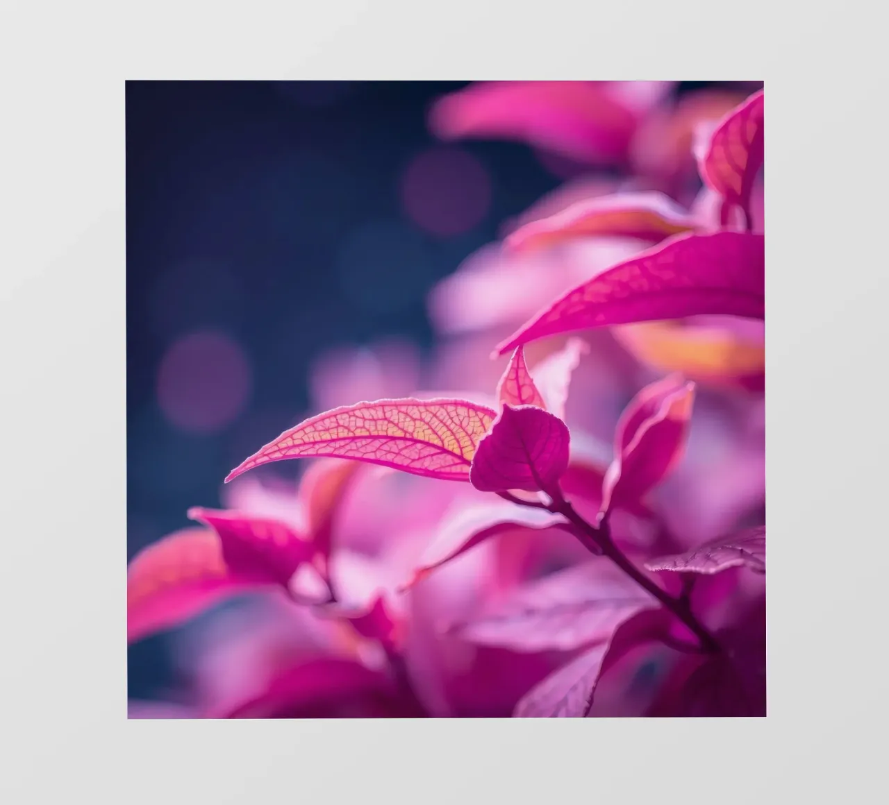 fogliame rosa illuminato da una luce soffusa in un look tranquillo telo in pvc da DesignDoodle