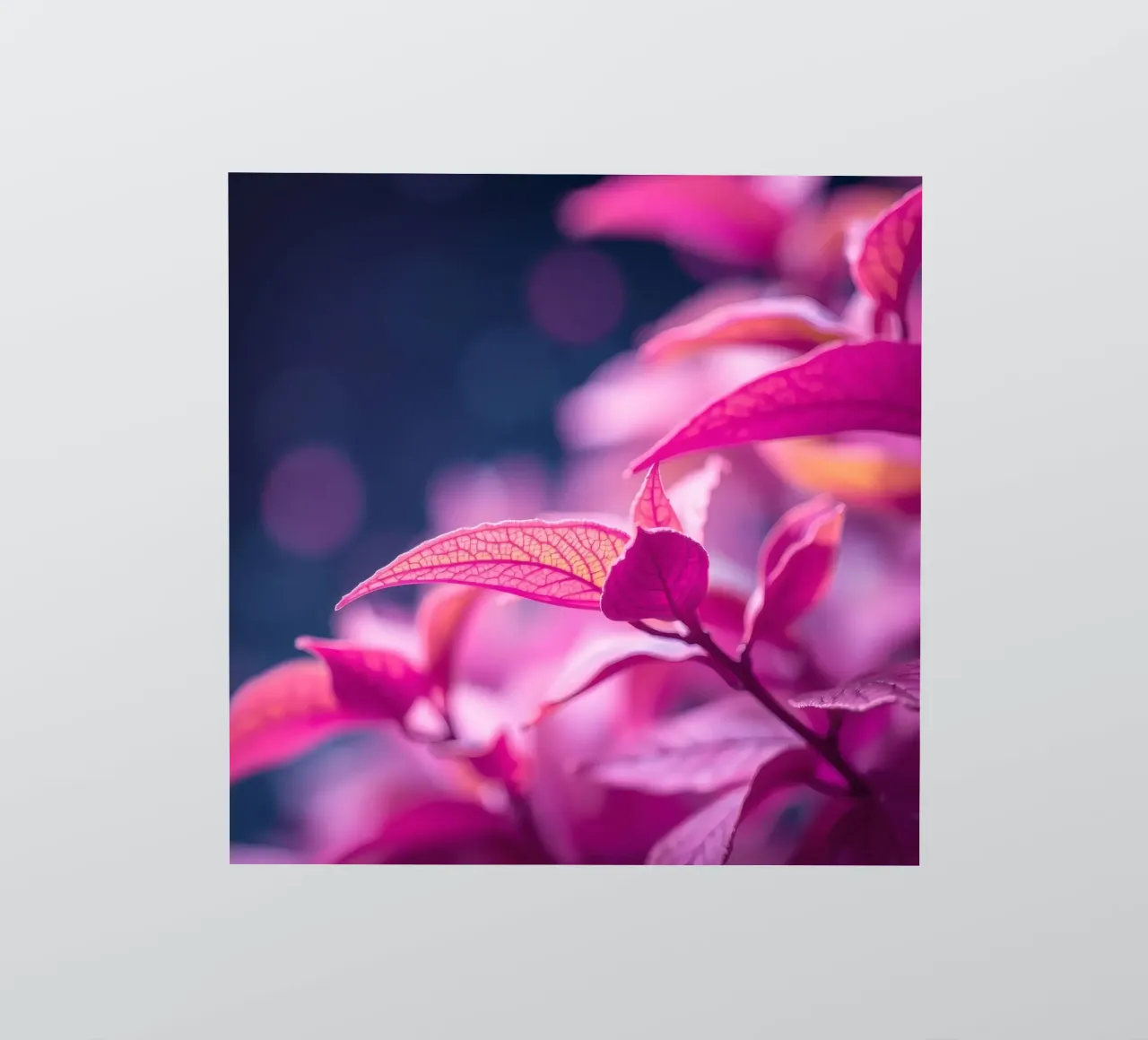pink foliage illuminated by soft light in a calm look sticker by DesignDoodle