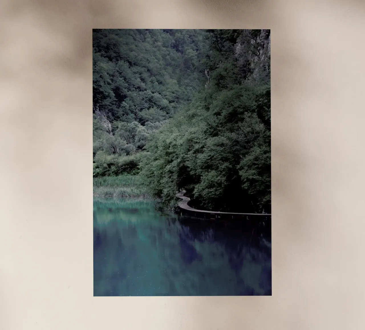 The Path under Trees pellicola backlit da Studio Nahili