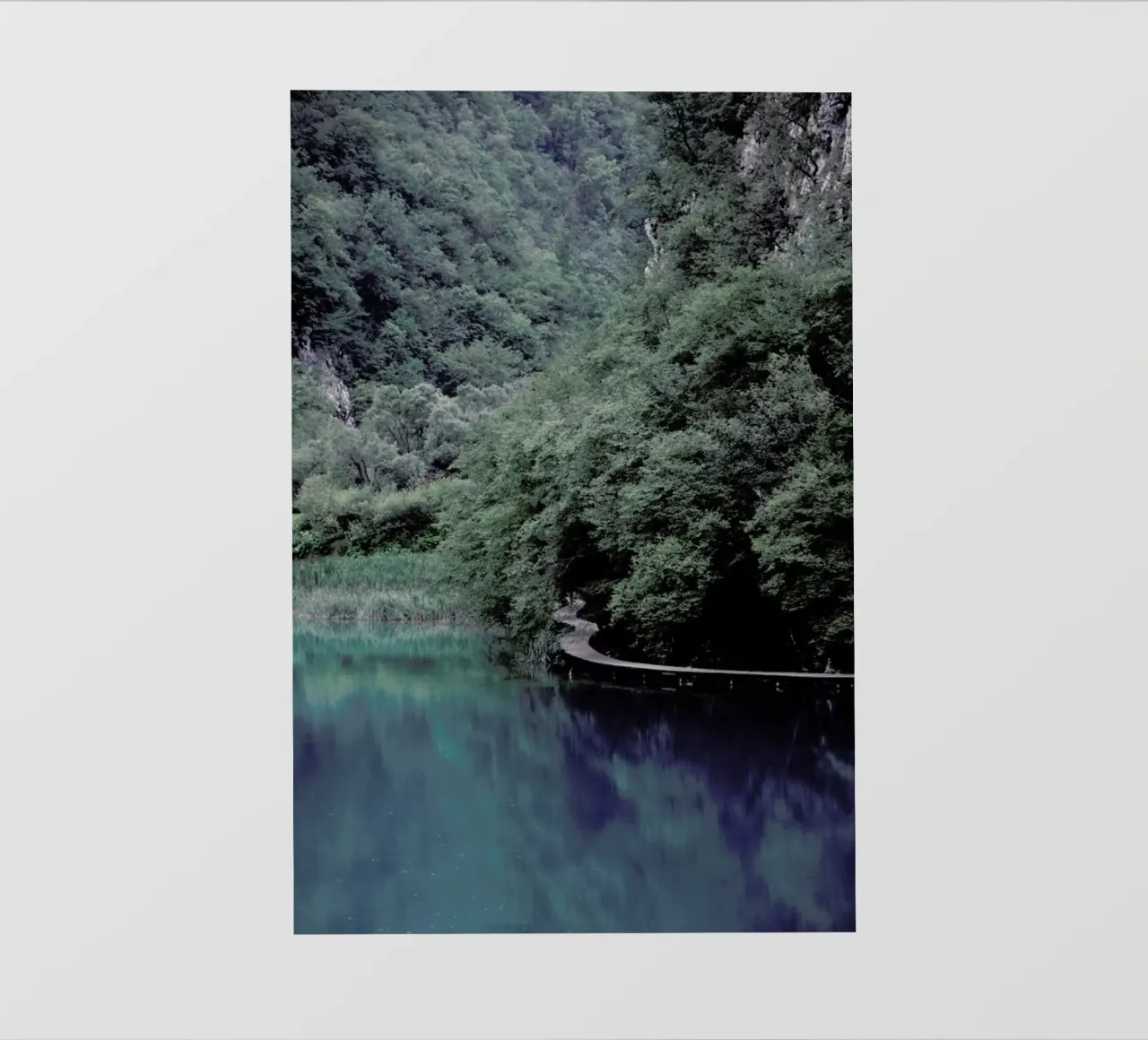 The Path under Trees pellicola backlit da Studio Nahili