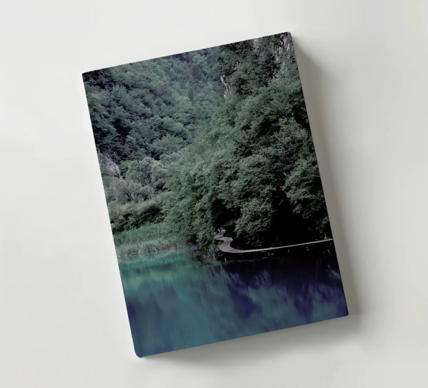 The Path under Trees Notizbuch von Studio Nahili