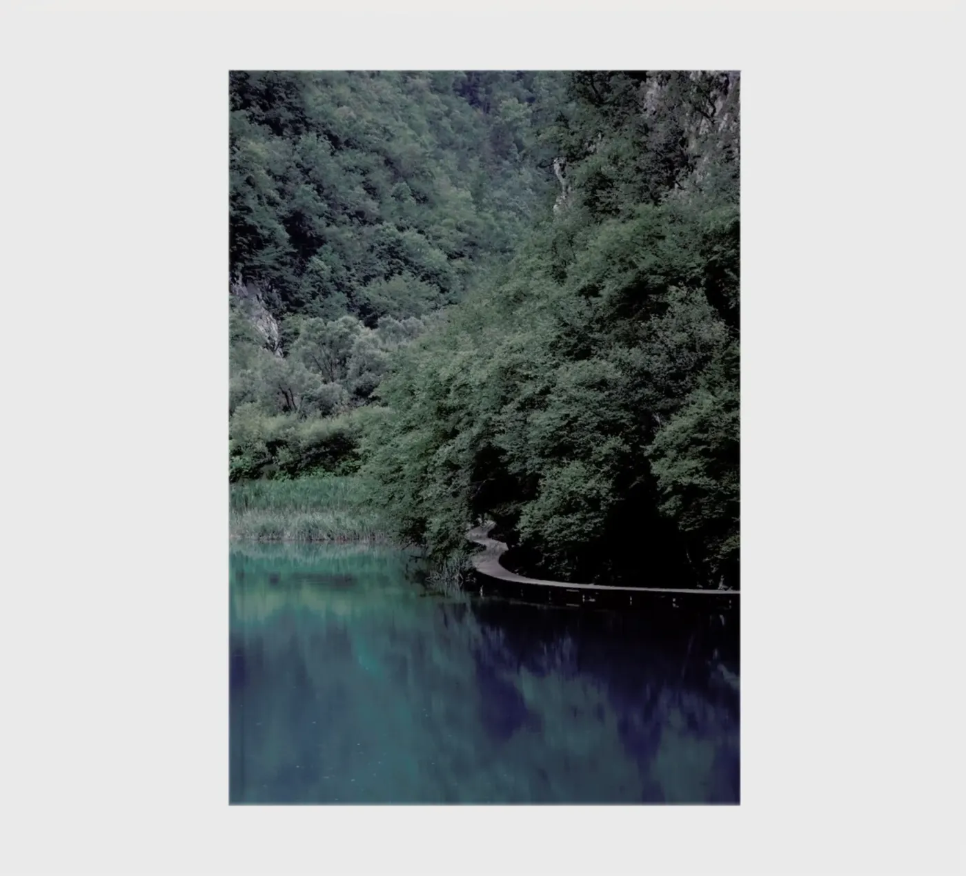 The Path under Trees Notizbuch von Studio Nahili