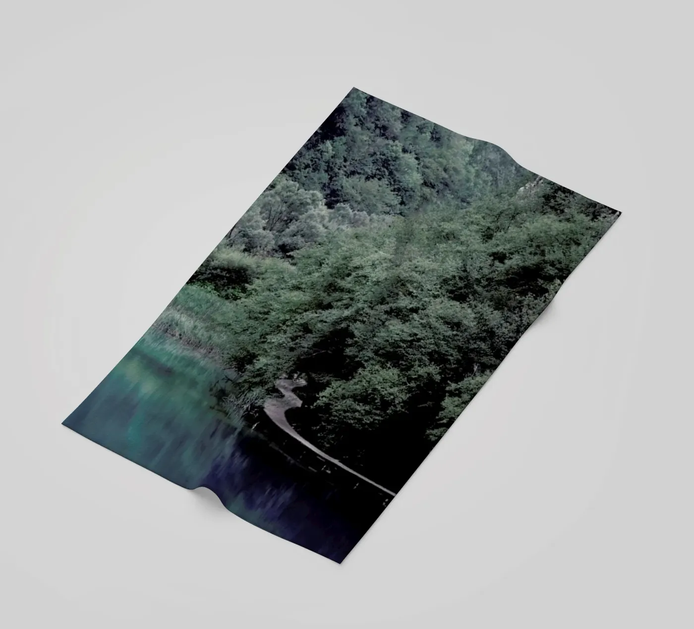 The Path under Trees telo mare da Studio Nahili