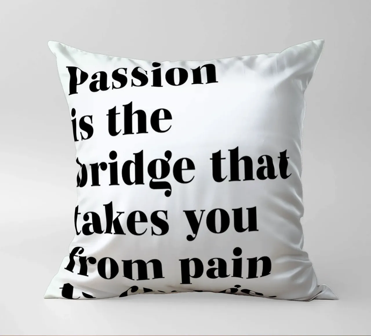 Passion is the Bridge cuscino da typed