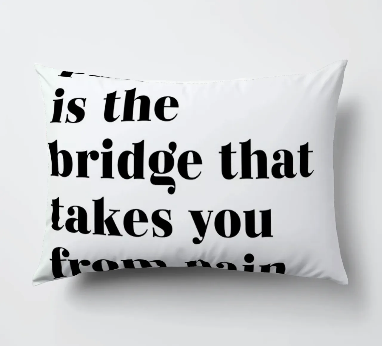 Passion is the Bridge cuscino da typed