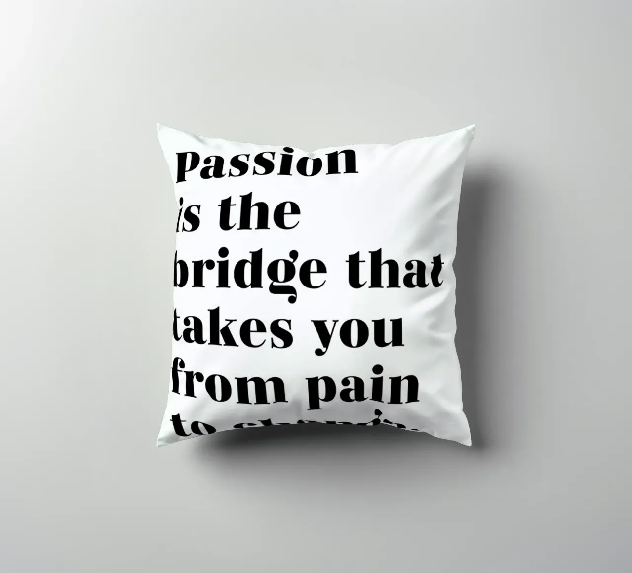 Passion is the Bridge cuscino da typed