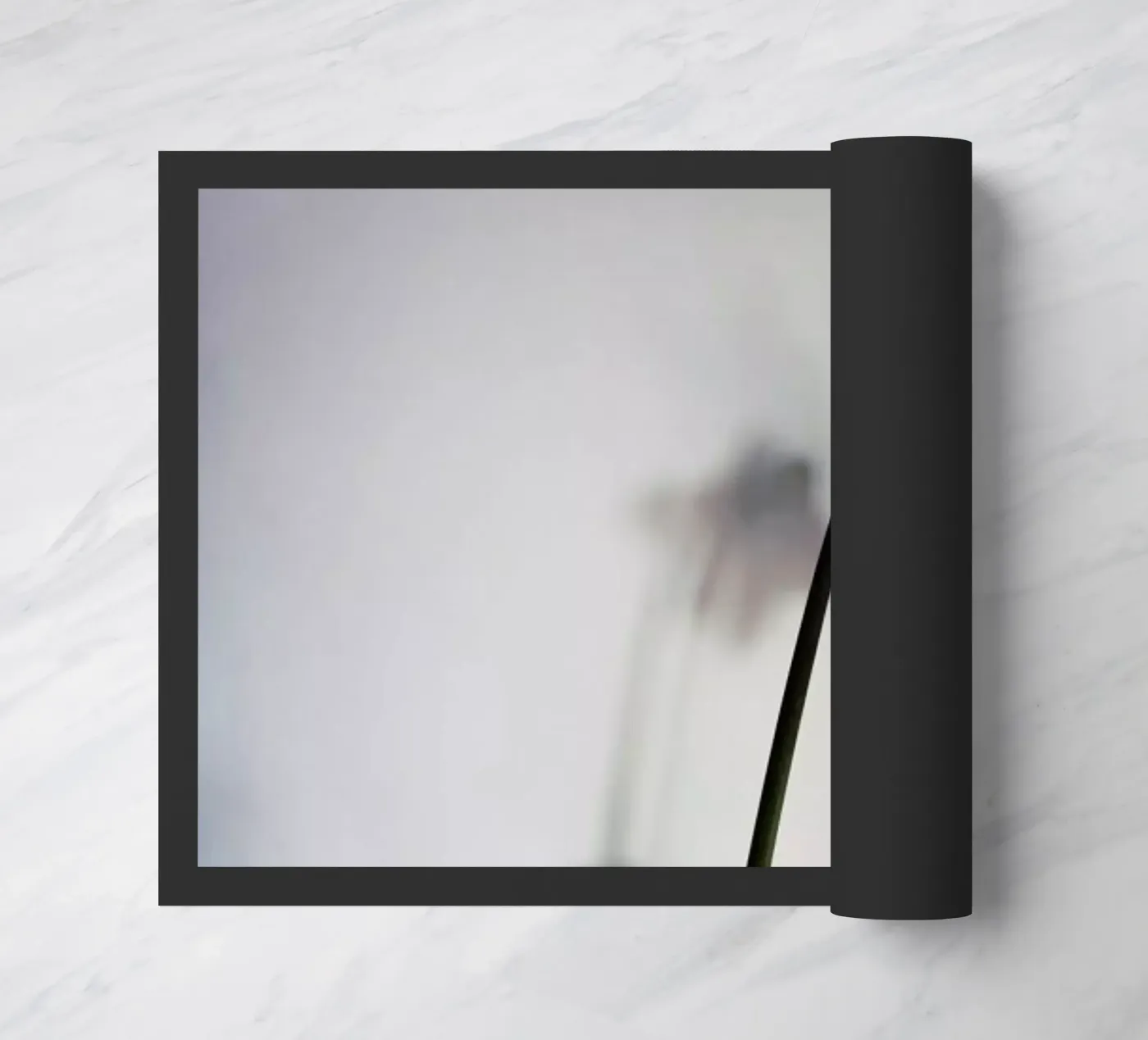 Narciso 14 zerbino da Angelo Cerantola