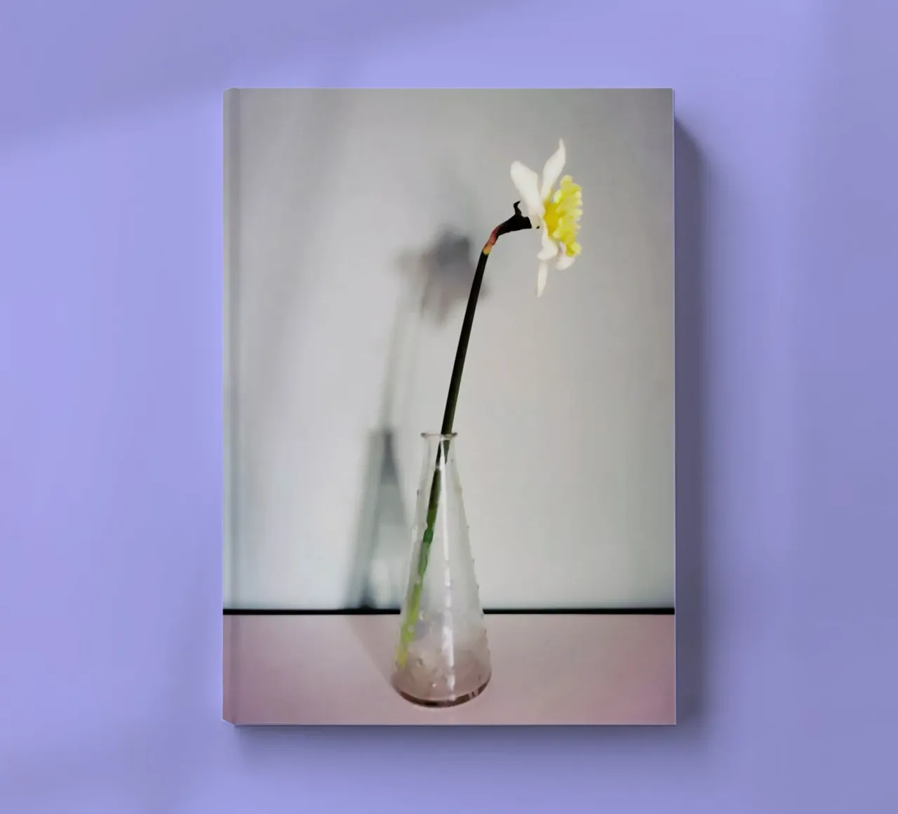 Narciso 14 notebook by Angelo Cerantola