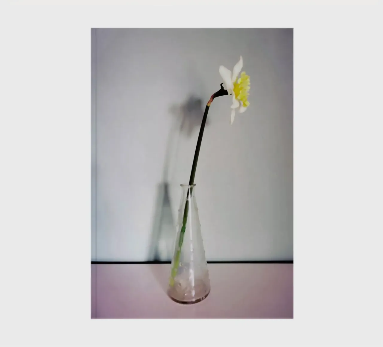 Narciso 14 notebook by Angelo Cerantola