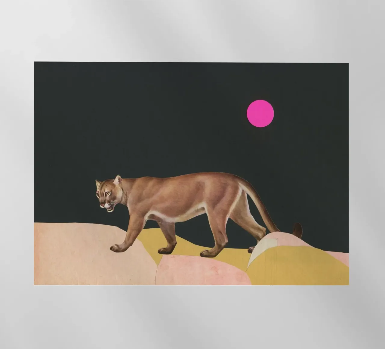 Puma pellicola backlit da Cassia Beck Collage