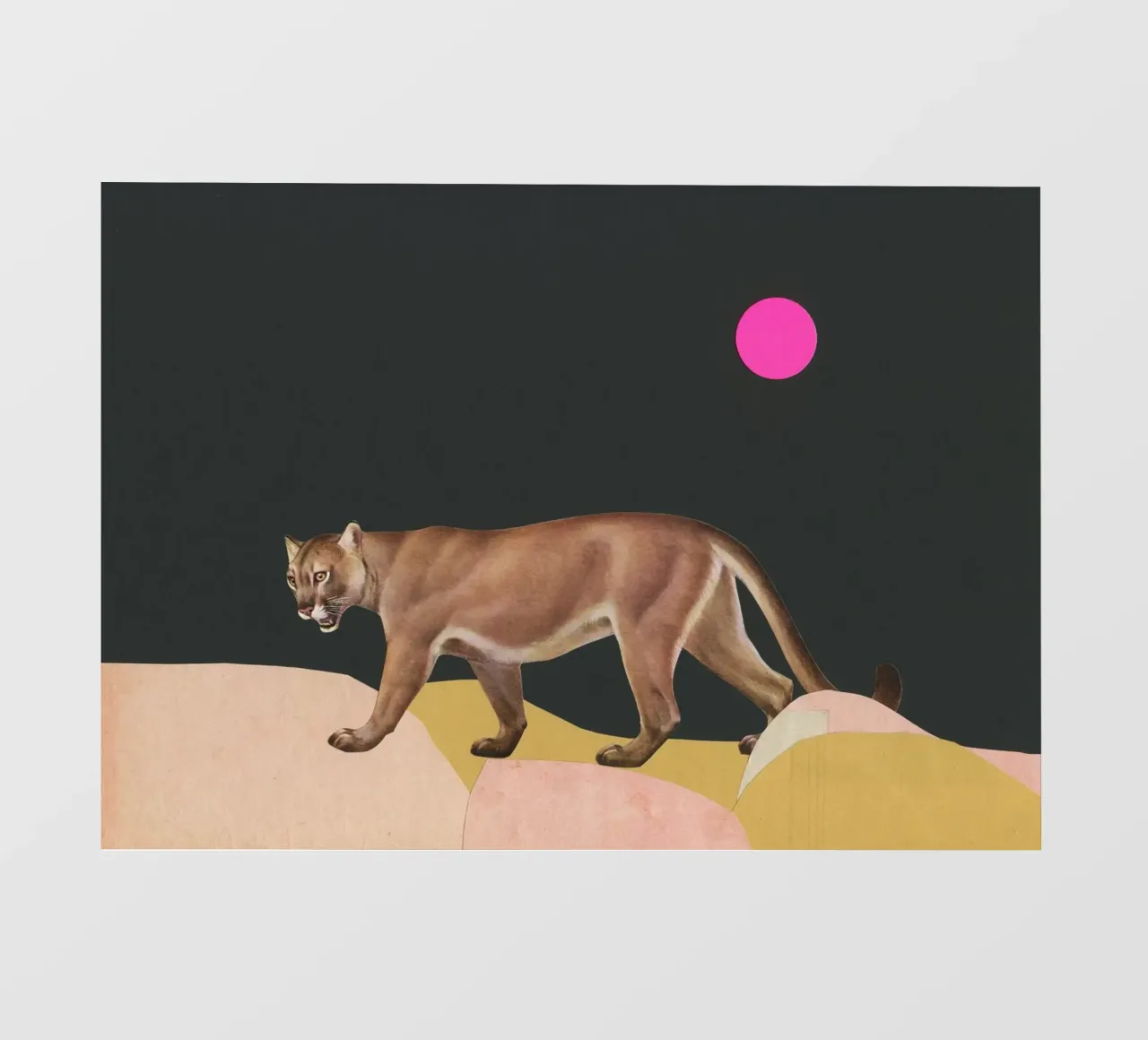 Puma pellicola backlit da Cassia Beck Collage