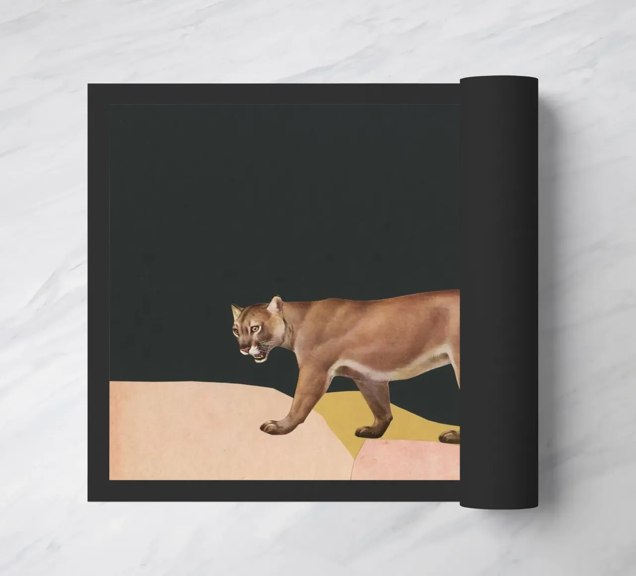 Puma zerbino da Cassia Beck Collage