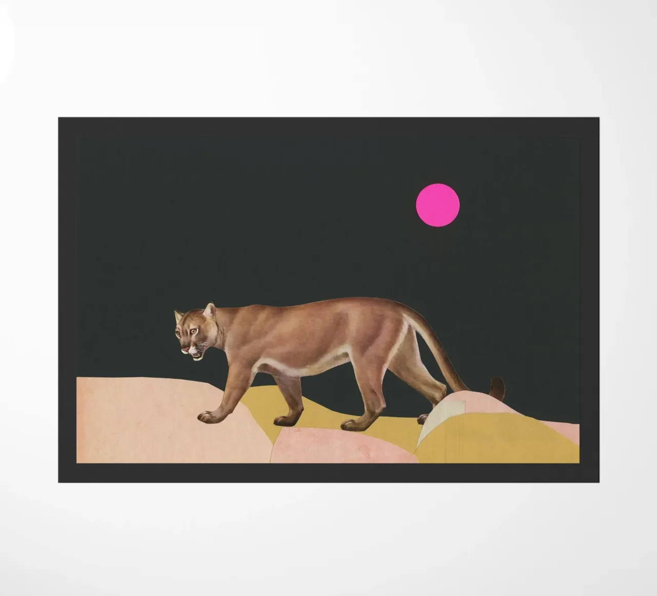 Puma zerbino da Cassia Beck Collage