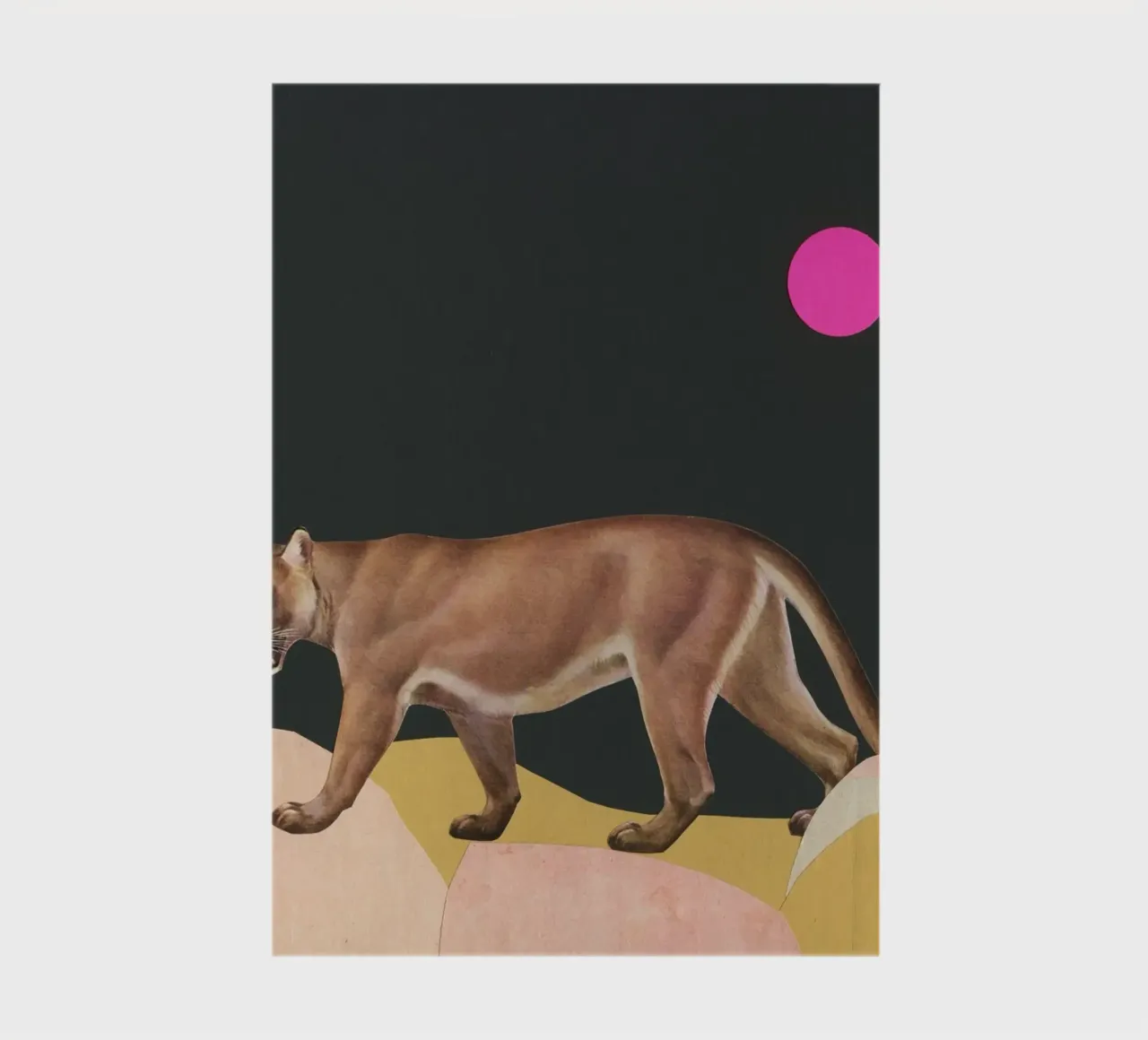 Puma diario da Cassia Beck Collage
