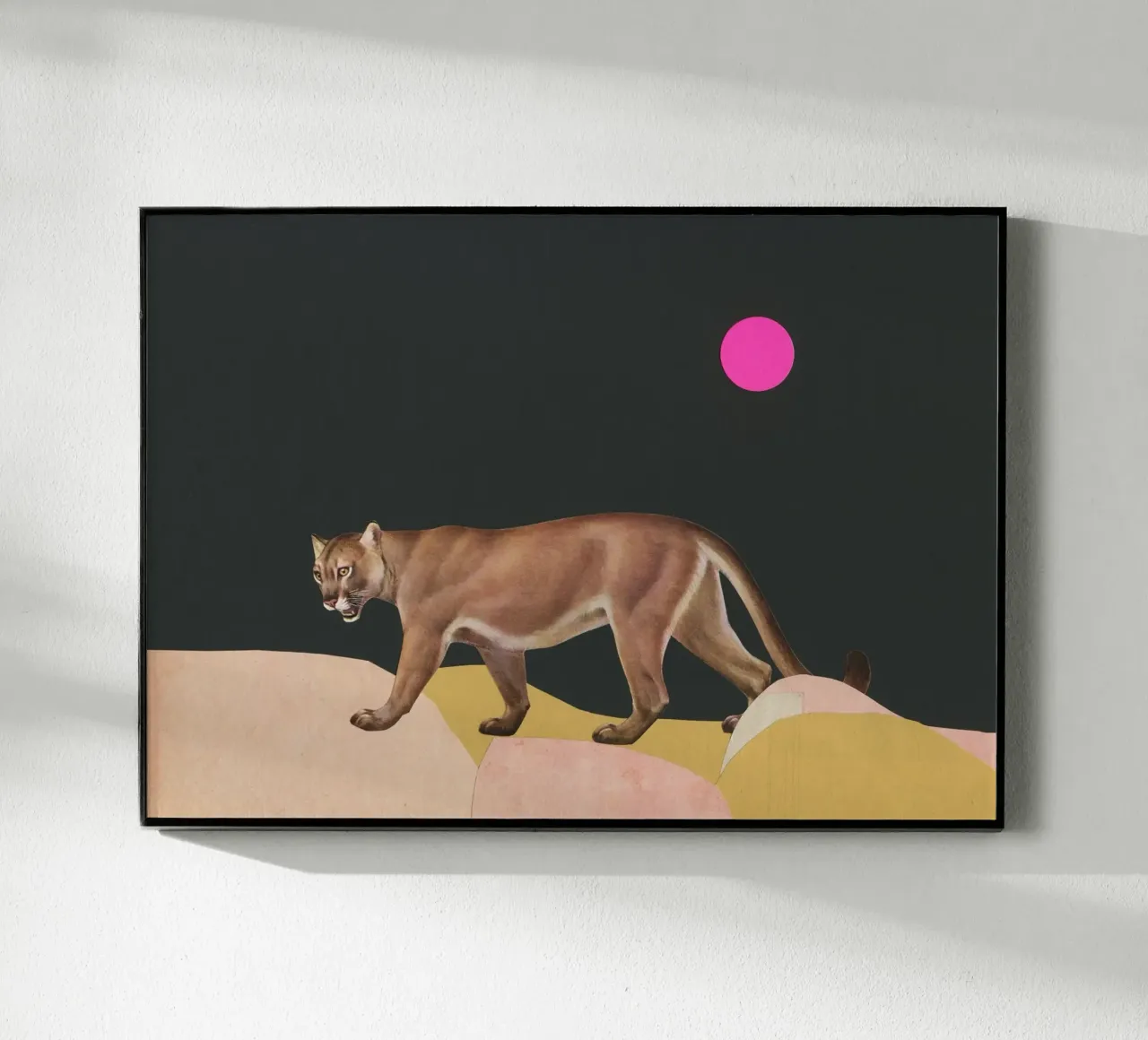 Puma plexiglass da Cassia Beck Collage