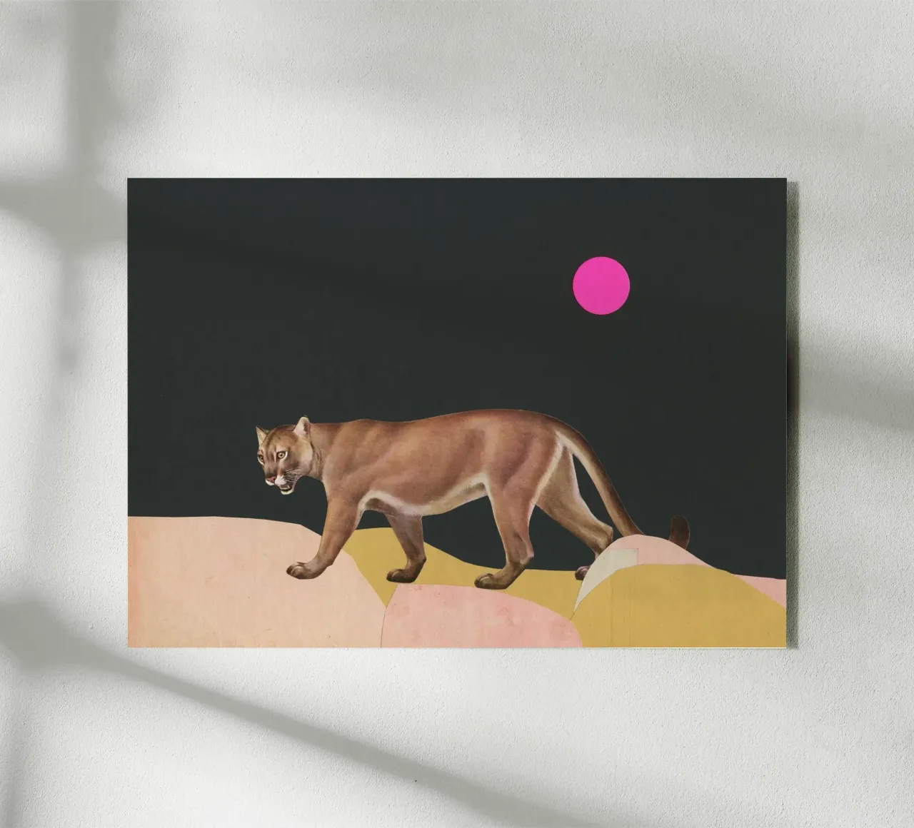 Puma plexiglass da Cassia Beck Collage