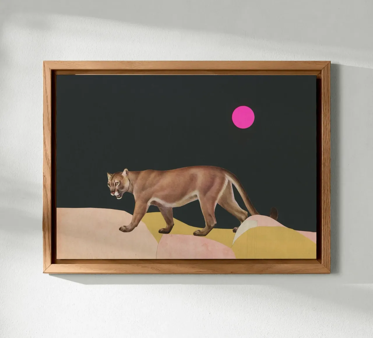 Puma pannello forex da Cassia Beck Collage