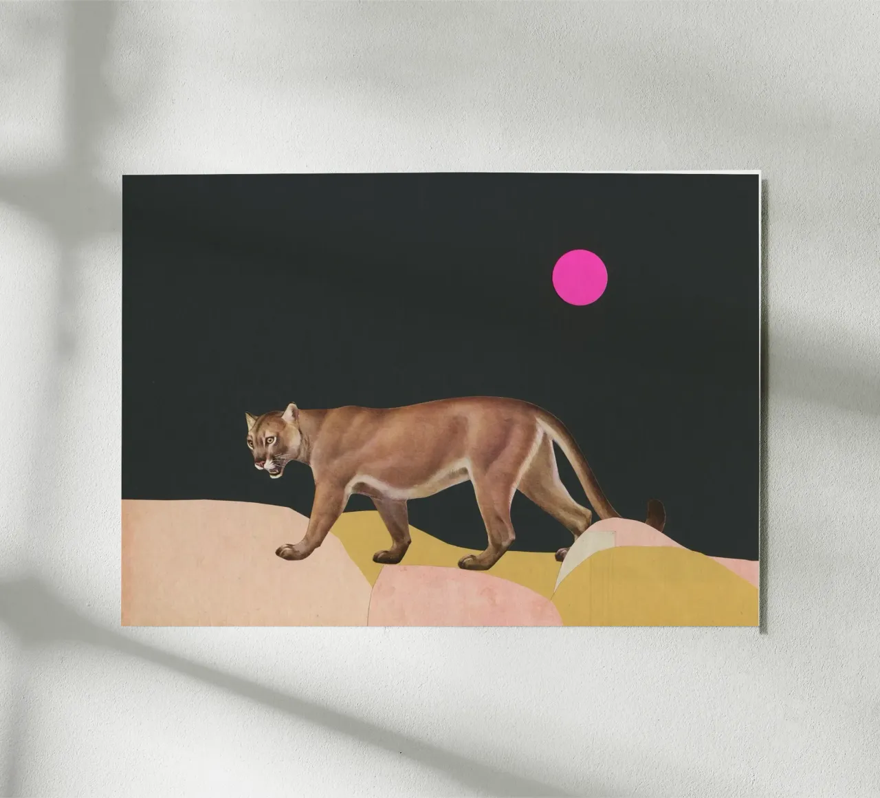 Puma pannello forex da Cassia Beck Collage