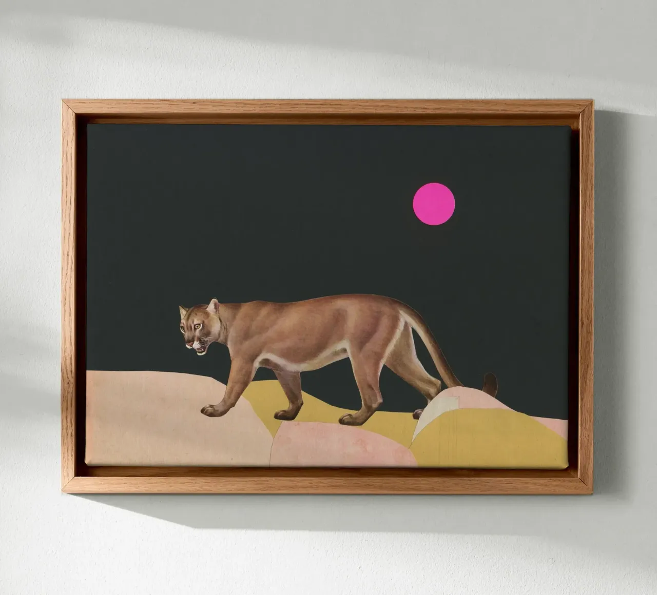 Puma tela da Cassia Beck Collage