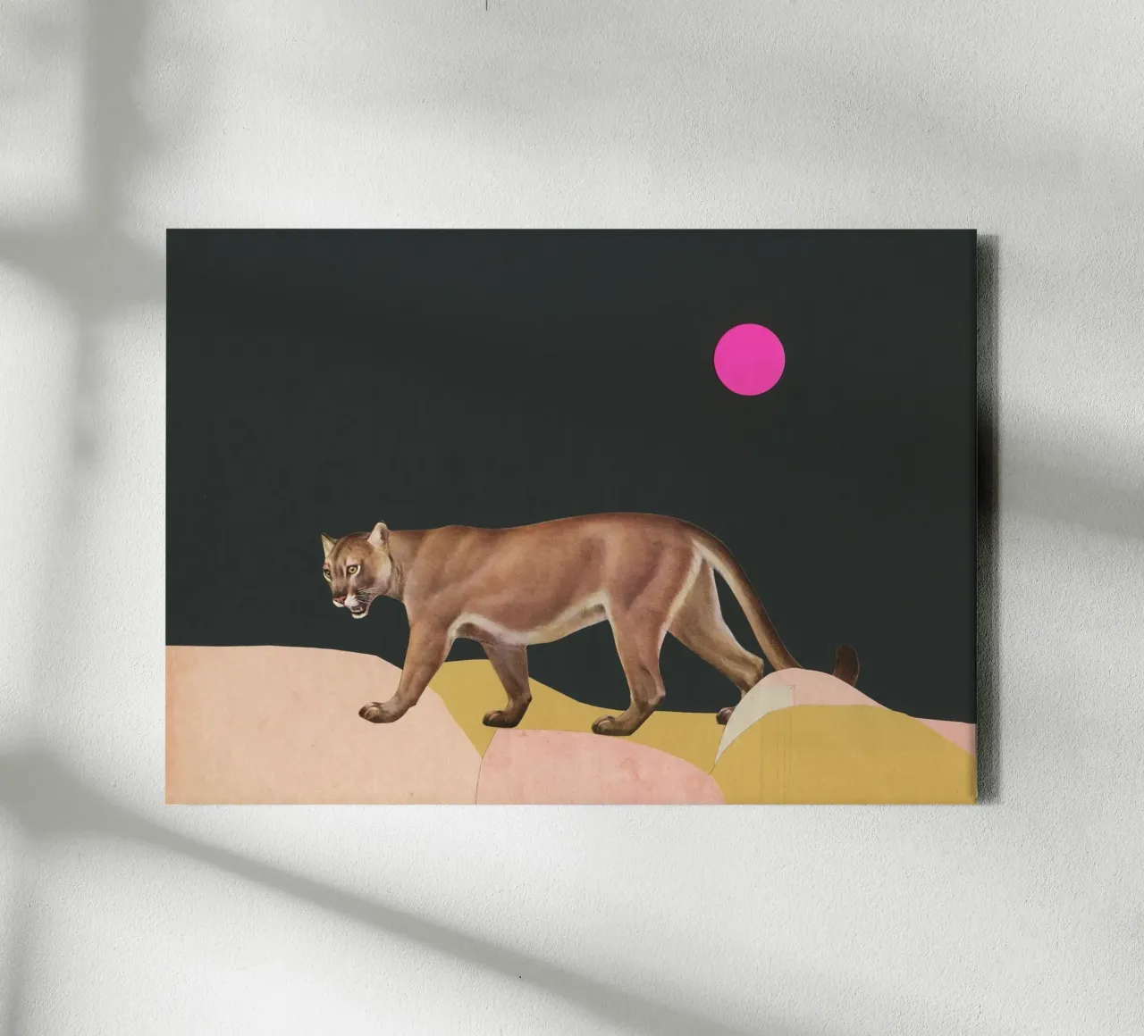 Puma tela da Cassia Beck Collage